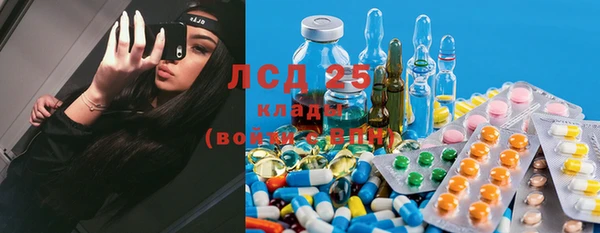 ECSTASY Горняк