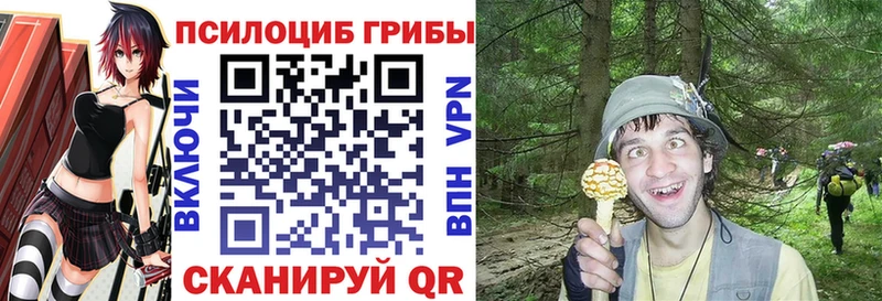 цена наркотик  Нижний Новгород  Галлюциногенные грибы MAGIC MUSHROOMS 
